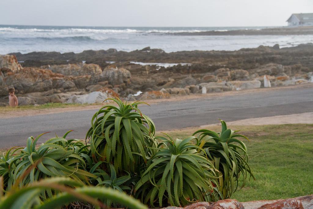 Little Rock Guesthouse Groot-Jongensfontein Экстерьер фото